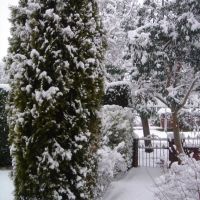 Winter in Hazel Grove, Хазел-Гров
