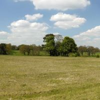 Rothamsted Park from the bridle path (May 2013), Харпенден