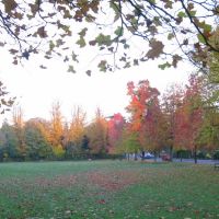 Autumn Colour at Muster Green, Хейвардс-Хит