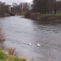 River Wye at Hereford, Херефорд
