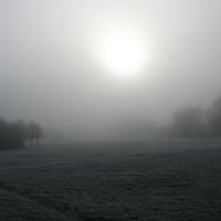 Field in Winter, Херефорд