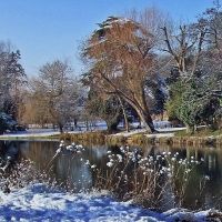 River Lea - December, Хертфорд
