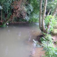 River Rib after overnight rain., Хертфорд
