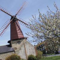 Windmill - West Blatchington mill, Hove, East Sussex, Хоув