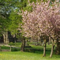 Ecclesfield church grounds in spring, Sheffield S35, Чапелтаун