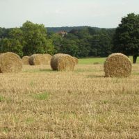 Bales of Hay, Ecclesfield, Sheffield S35, Чапелтаун