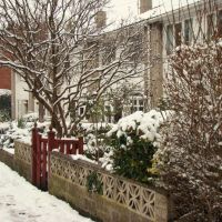 Snowy front gardens, Church Street, Ecclesfield, Sheffield S35, Чапелтаун