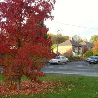 Autumn colours at the junction of Church Street and Mill Road, Ecclesfield, Sheffield S35, Чапелтаун