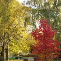 Autumn colours at the entrance to Ecclesfield Park 3, Sheffield S35, Чапелтаун