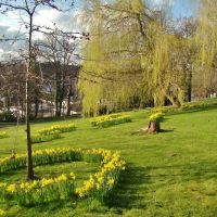 Springtime scene on Chapeltown Park slope, Sheffield S35, Чапелтаун