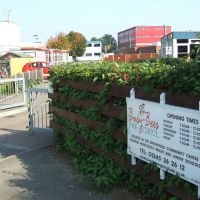 Busy Bees PreSchool and community centre, Perryfields Junior School and The Boswells School, Челмсфорд