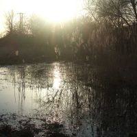 Puddle in the sunshine, Near Lee Navigation, Cheshunt, Чешант
