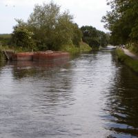 Chichester canal (Spoil site), Чичестер