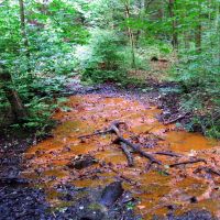Red Beck, Heaton Woods (natural ironstone stained spring), Шипли