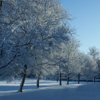 winter scene, Баллимена