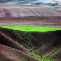 Plaine du Caucase (environs de Sheki), Истису