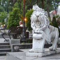 Lion statue in Bakhtiyar Vahabzade Park, Шеки