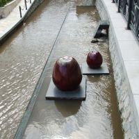 Úszó almák (Swimming Apples), Мишкольц