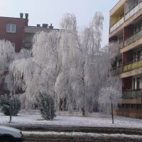 Dunaújvárosi tél 2, Дунауйварош