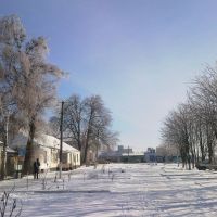 Зимний день, Куйбышевский