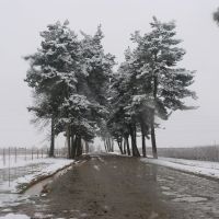 Kunduz in winter, Пяндж