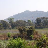 DPAK MALHOTRA, Agriculture, Durtagati Marg - Mumbai Pune xpressway, Maharashtra, NH4, Bharat, Ашт