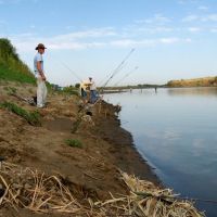 На рыбалке, река "Сырдарья" рядом с впадением "Восточного", Зафарабад