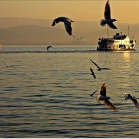 Gulf ferry at sunset in İzmit , Измит