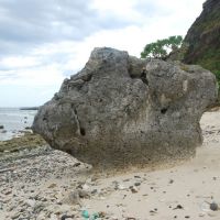 Một khối san hô chết trên bãi biển Lý Sơn, Кан-То