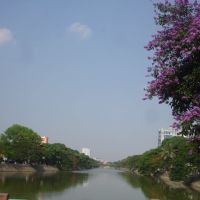 Hoa bằng lăng bên bờ sông lấp Hải phòng, Хайфон
