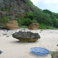 Một tảng san hô chết nằm trên bãi biển hiện đại, Вунг-Тау