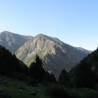 Kulp, Shate ravine (view N), Алтынкуль