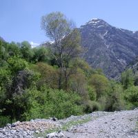 Pum, spring, may, Балыкчи
