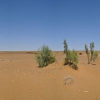 The Kyzyl Kum the 11th largest desert in the world in Uzbekistan., Алат