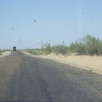 "Desert Road"   Kizyl Koum   -  Uzbekistan, Каракуль