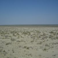 Aral Sea 2007, Муйнак