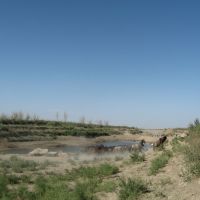 Near Aral Lake (former coast ), Чимбай