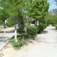 Тротуары 1-го района., Зарафшан