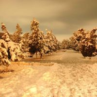 Winter in Central Termez, Термез