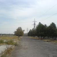 Развалины алмалыкского завода бытовой химии (2), Алмалык
