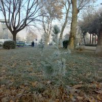 Frosty winter in Khujand - Морозная зима в Худжанде, Пскент