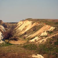 Вид на карьер где найденны араукарии, Алексеево-Дружковка