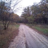 Лесная дорога, Амвросиевка