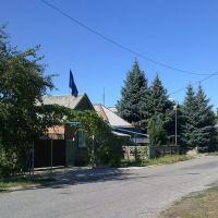 дом с флагом Партии Регионов, Артемовск