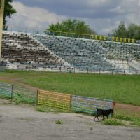 Стадион, Димитров