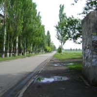 Дорога вокруг микрорайона, Димитров