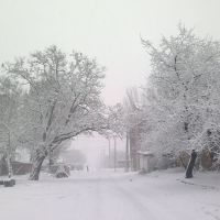 Снег 24.01.2012, Донецкая
