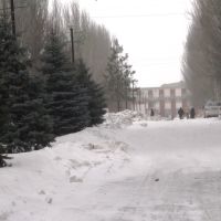 Улица Ленина, Донское