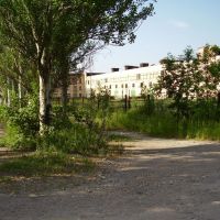 old plant, Жданов