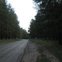 Дорога на Ямполь, Кировск